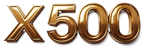x 500 logo